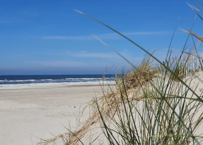 Neuf Confort Avec Parking, 4 Pers - Fr-1-482-175 Appartement Fort-Mahon-Plage